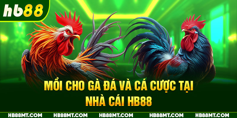 moi-cho-ga-da-va-ca-cuoc-tai-nha-cai-hb88